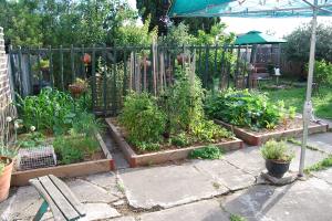 Early summer vegetable garden 2011