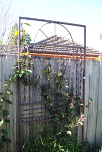 Foraging B wire doors