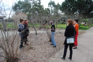 touring the food forest