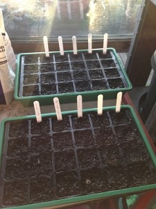 Russell & Turlough propagation