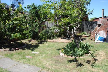 Orchard (after) post war 2013