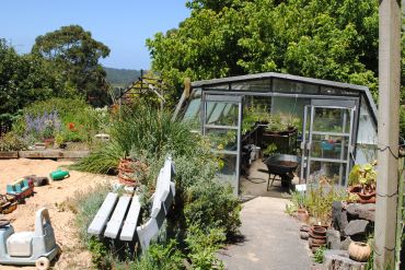 Hothouse