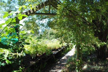The Nursery