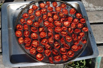 Day 2 Sun dried tomatoes