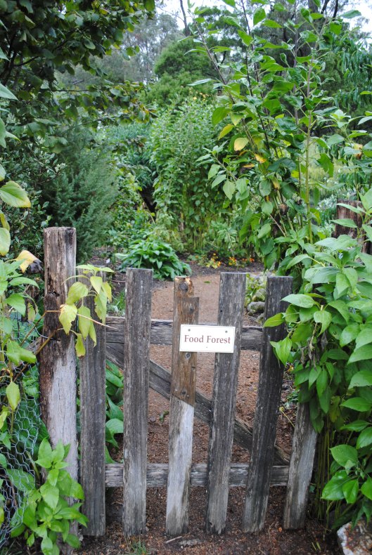 Food forest