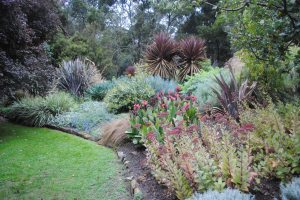 Textures, colours, species mix