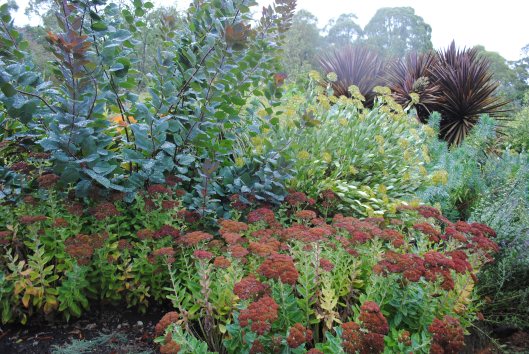 Textures, species & colours