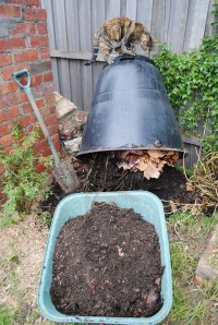 Digging out the compost