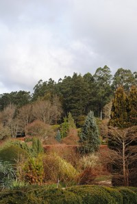 Layers of colours & textures