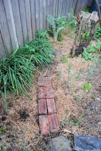 New path to nowhere