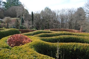 Topiary layers