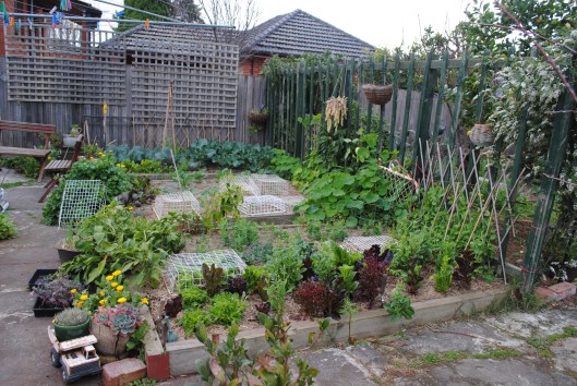 Vegies winter 2014