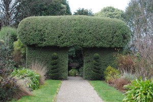 Topiary arch