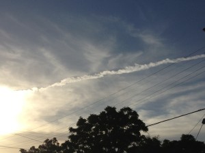 Chemtrail Buzz